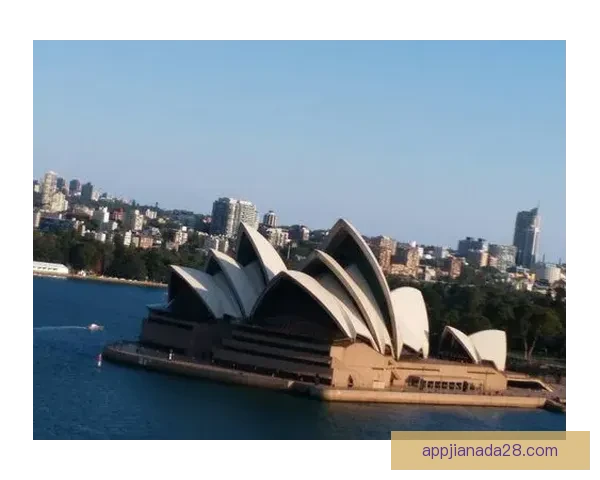 以高顿一比一斯泰伦博斯项目为核心打造国际化教育与实践融合新典范